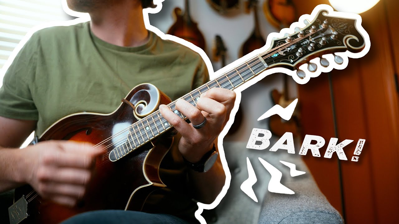 Make Your Mandolin Chop BARK!