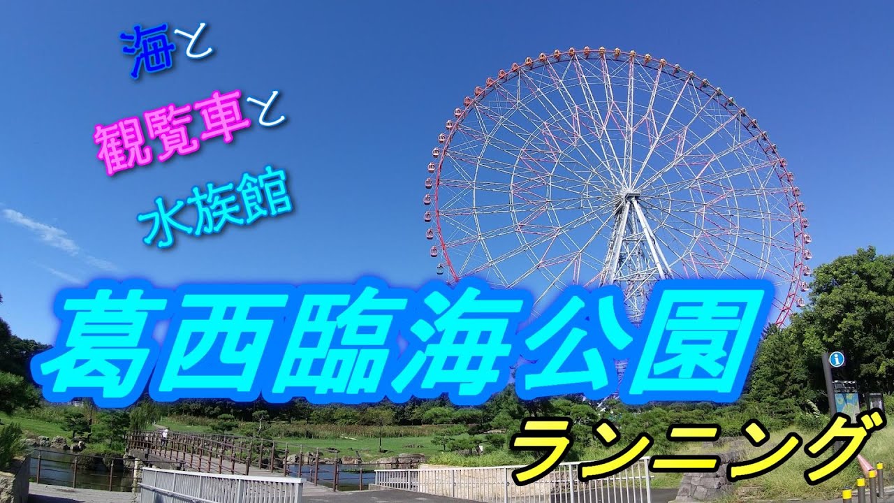 【葛西臨海公園ランニング】東京湾、観覧車を眺めながらのランニングは最高でした