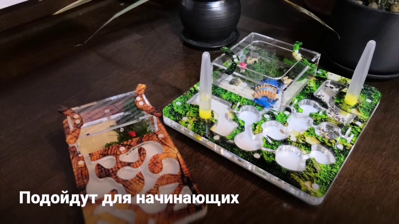 Муравьиная ферма ANTFACTORY