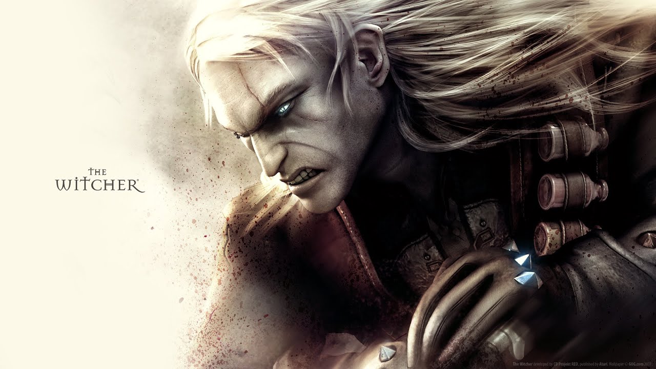The Witcher #33