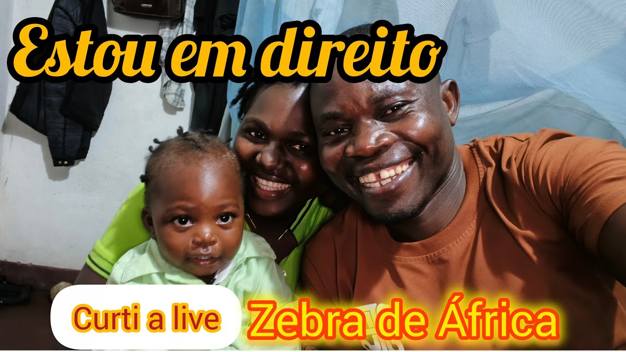 Boa noite gente boa# zebra de África #
