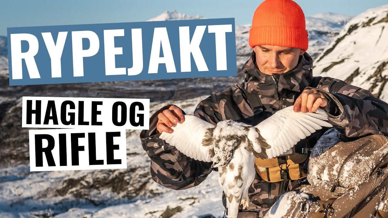 Rypejakt med hagle og rifle (#13)