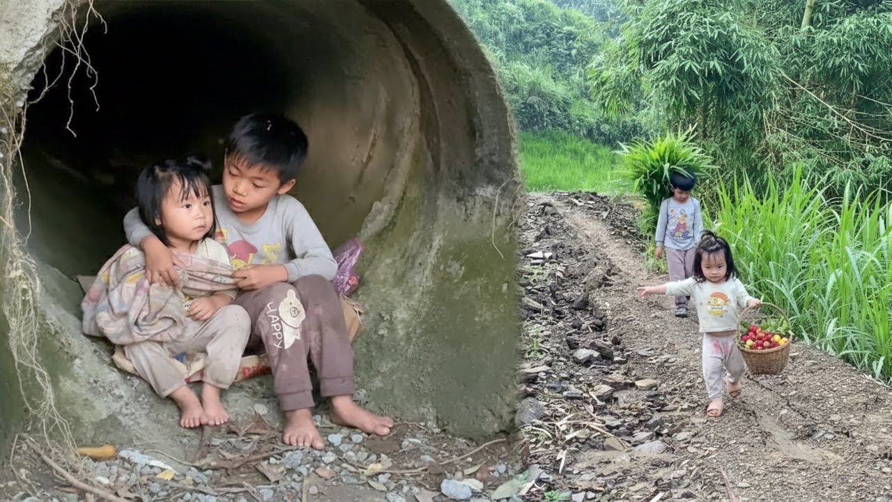 The two orphaned children survived by eating wild berries from the forest and had no home to live in