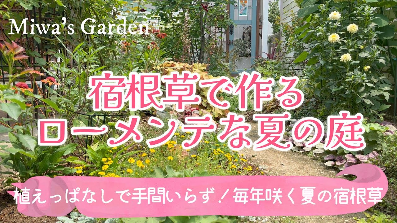 【ガーデニング＊ローメンテナンスな宿根草ガーデン🌻】購入苗の紹介と真夏も美しい花で華やぐおしゃれな庭づくり