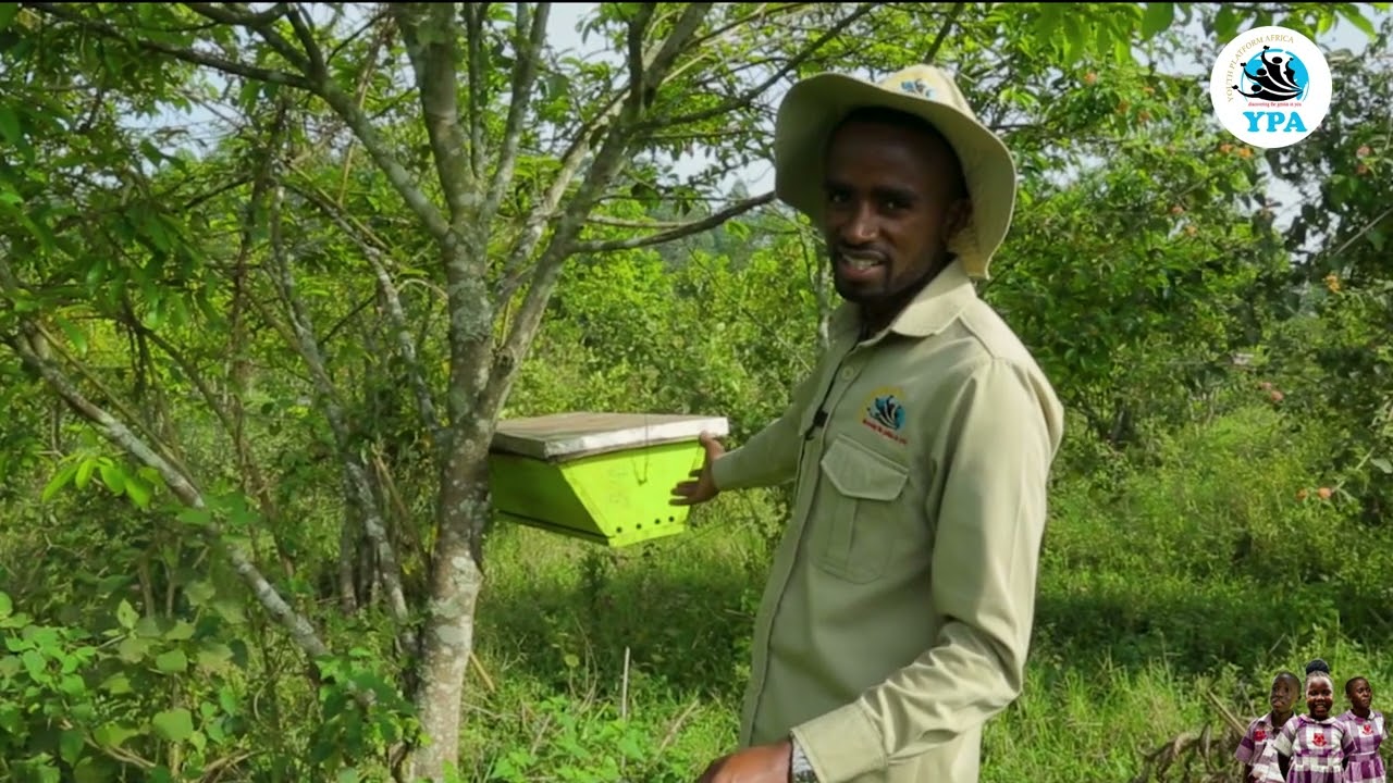 Monthly  income of 100,000 shillings? It's possible with beekeeping!