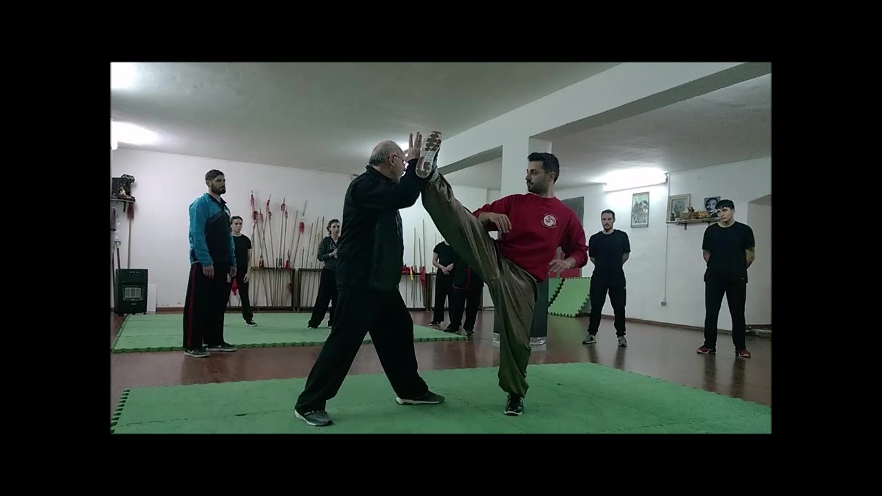 Traditional Wushu Lesson - Tongbei - Tanglang - Shaobei - M Falanga - Tong Yuan Wushu