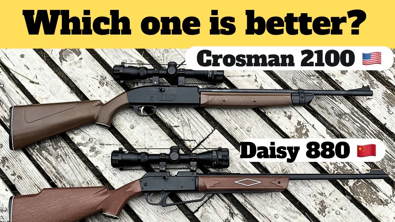 Crosman 2100 против Daisy 880 — тест и обзор стрельбы
