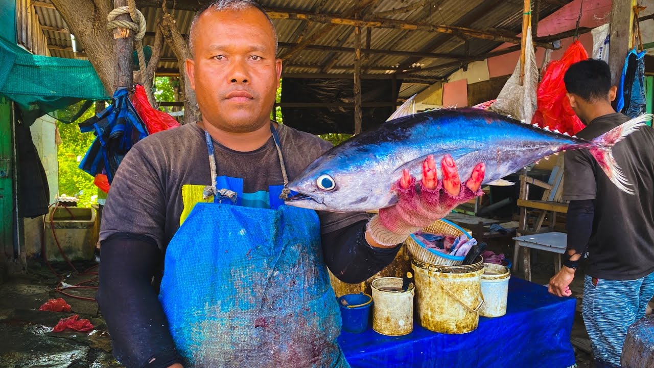 KEAHLIAN YANG SPEKTAKULER DAN PENUH SENI MEMOTONG IKAN BABY TUNA SIRIP KUNING