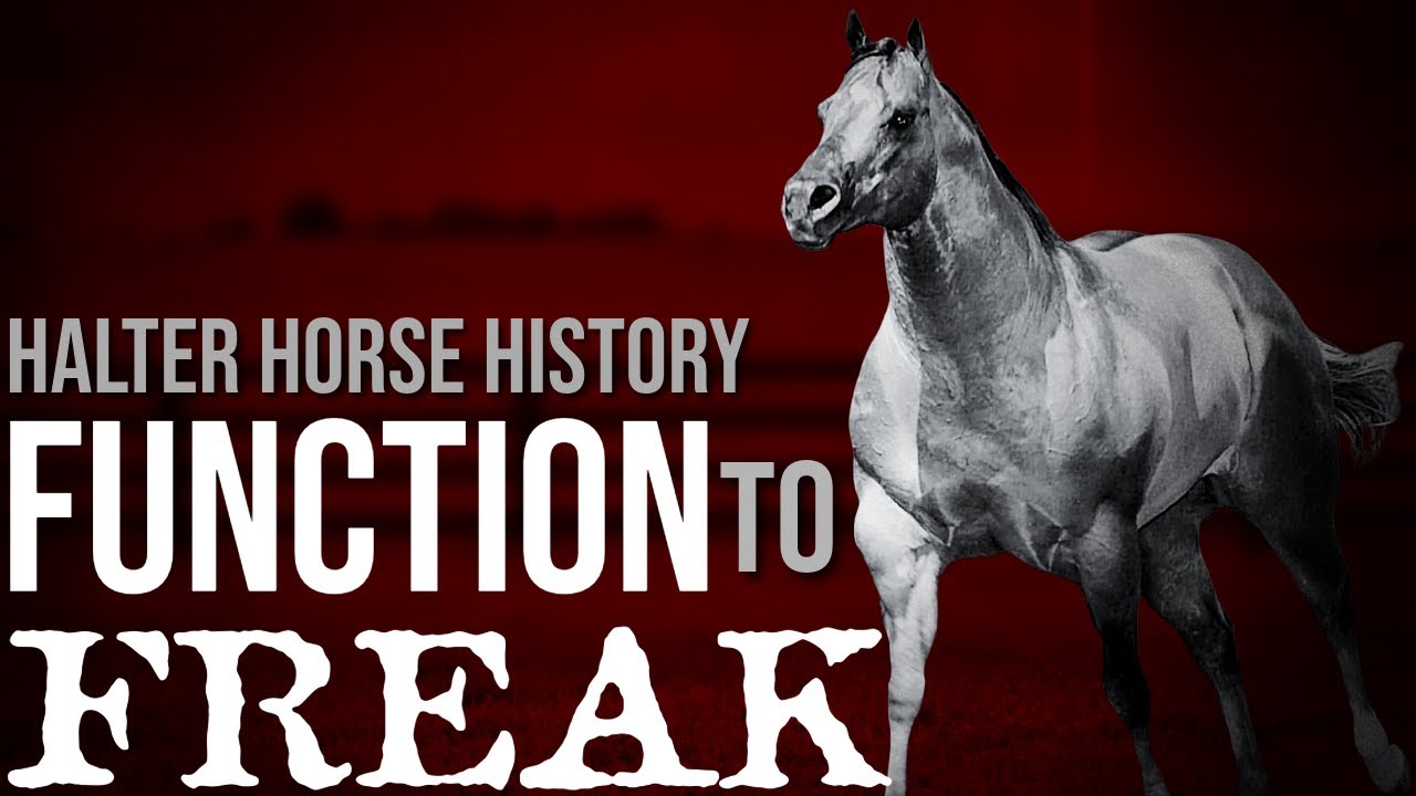From Function to Freak: The History of the Halter Horse