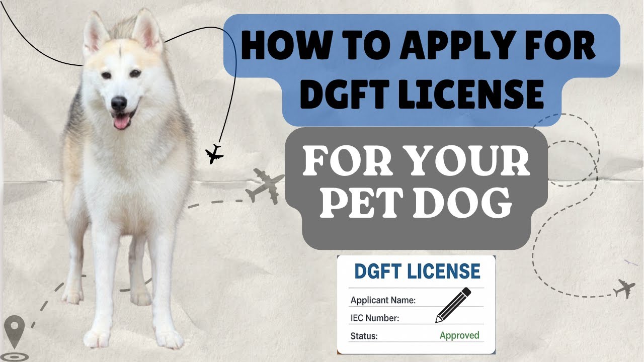 How to Apply For DGFT License For Your Pet Dog Online | Travel from US to India Temporarily