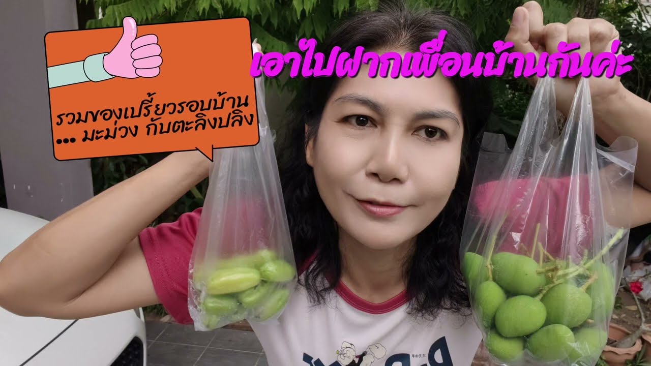 รวมของเปรี้ยวรอบบ้าน... มะม่วง กับตะลิงปลิง 