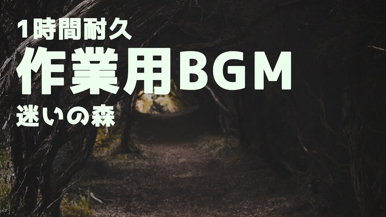 【1時間耐久】迷いの森にいながらも勉強に使える作業用BGM