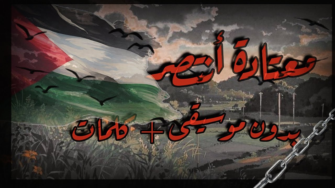 معتادة أنتصر 🇵🇸🌹 // إيمي هيتاري 🤍 // كلمات + بدون موسيقى 🎵🌹 // لا يفوتك🌧 🔥
