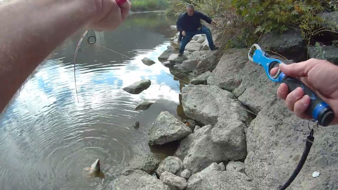 At Çek Yöntemiyle Turna ve Yayın Balığı Avı (Sakarya Nehri Balık Avı)