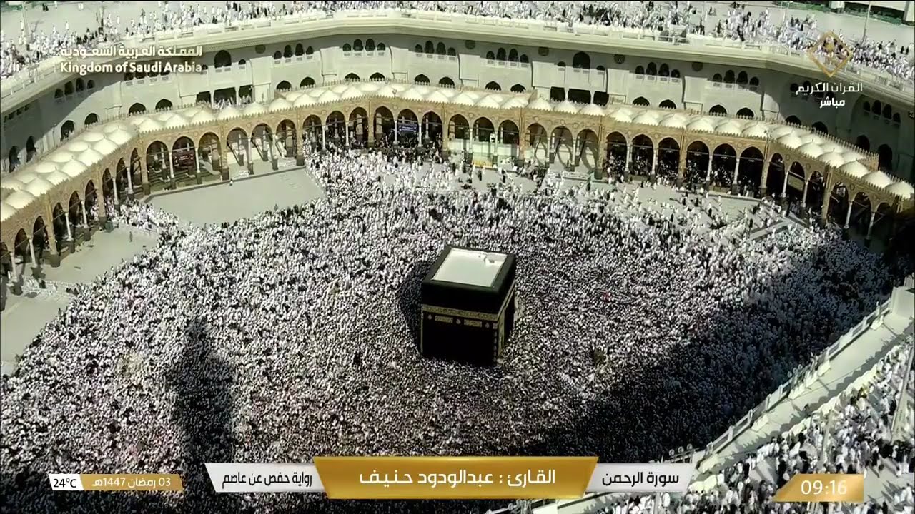 تلاوة خاشعة من سورة النجم إلى سورة الممتحنة | بصوت القارئ عبد الودود حنيف Quran Recitation