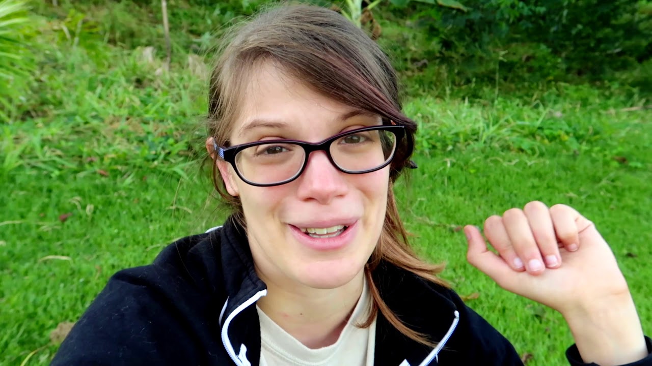 A quick vlog about birds and ticks in Brazil