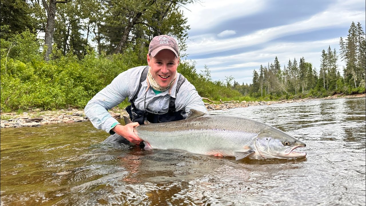 Monster Atlantic Salmon #greenmachine #atlanticsalmon #speyrod #fishing #salmon #bigfish #flyfishing