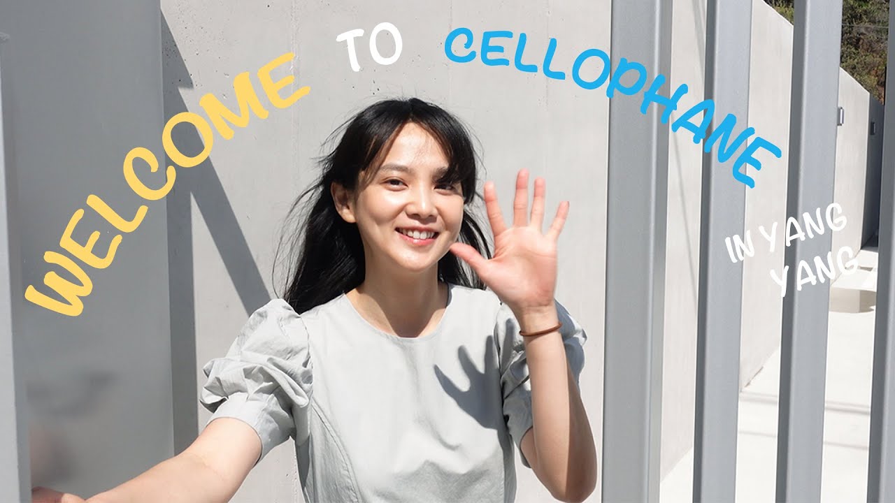 셀로판 in 양양을 소개합니다🏡