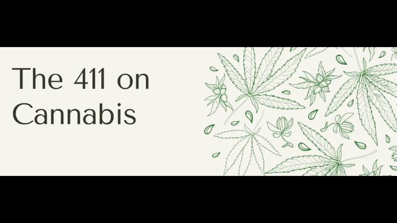 411 on Cannabis