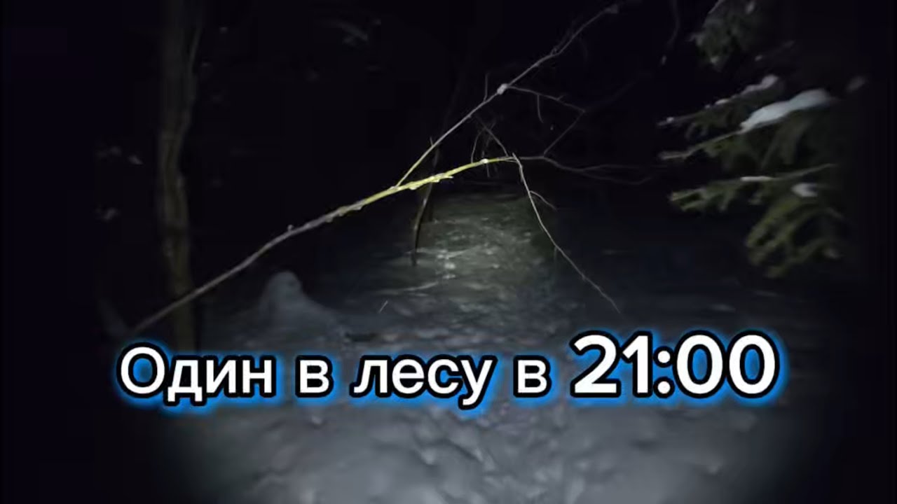 Вечерняя прогулка по лесной тропе | Мысли наедине с природой