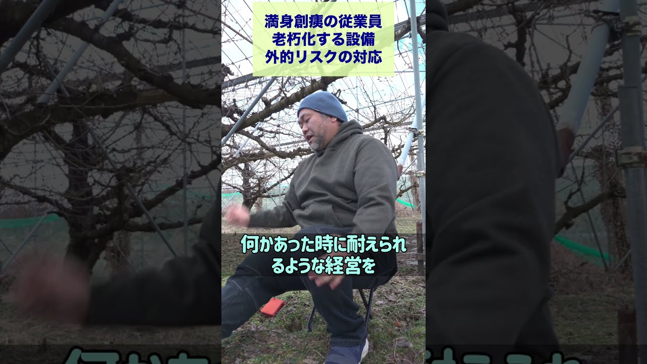 さくらんぼ園地を借りた新規就農の経営現実を旅館に例えてみた