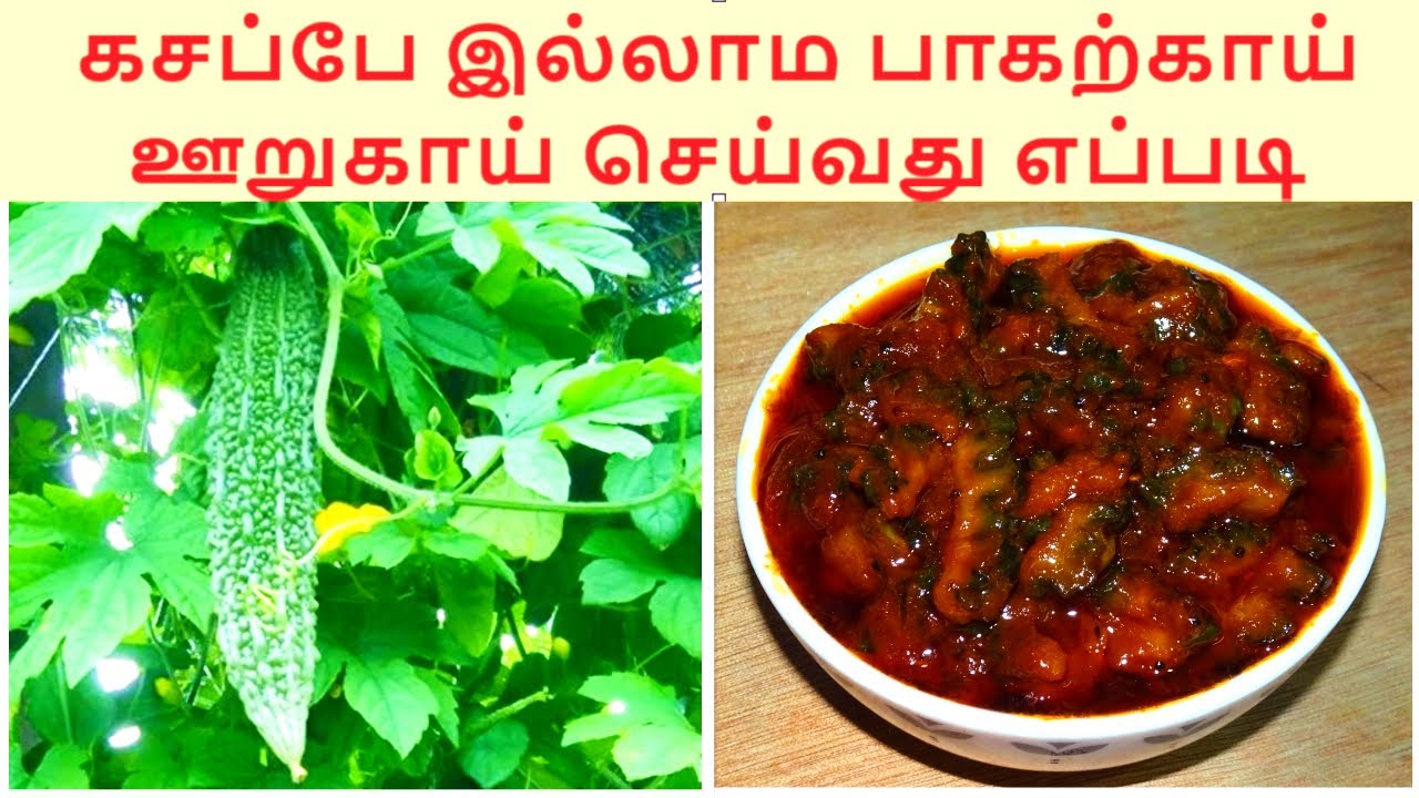 Bitter Gourd Pickle recipe in Tamil |கசப்பே இல்லாம பாகற்காய் ஊறுகாய் செய்வது எப்படி | Paavakai