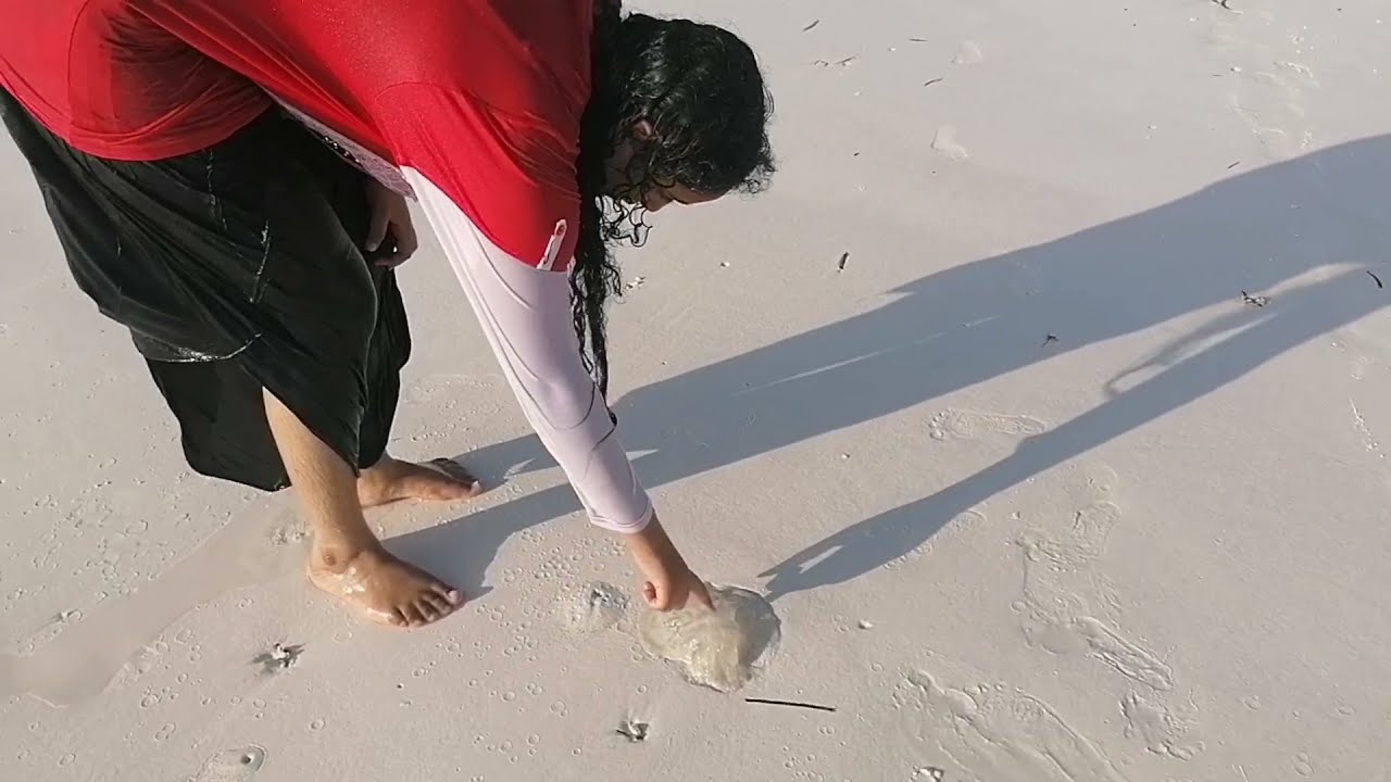 Michamvi Beach Tour Zanzibar