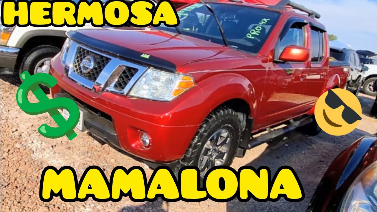 MAMALONAS PERRONAS