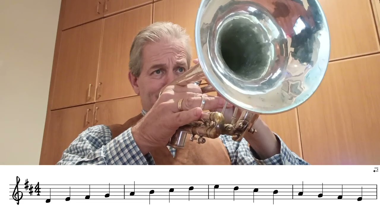D major Scale Exercise for trumpet play along - slow