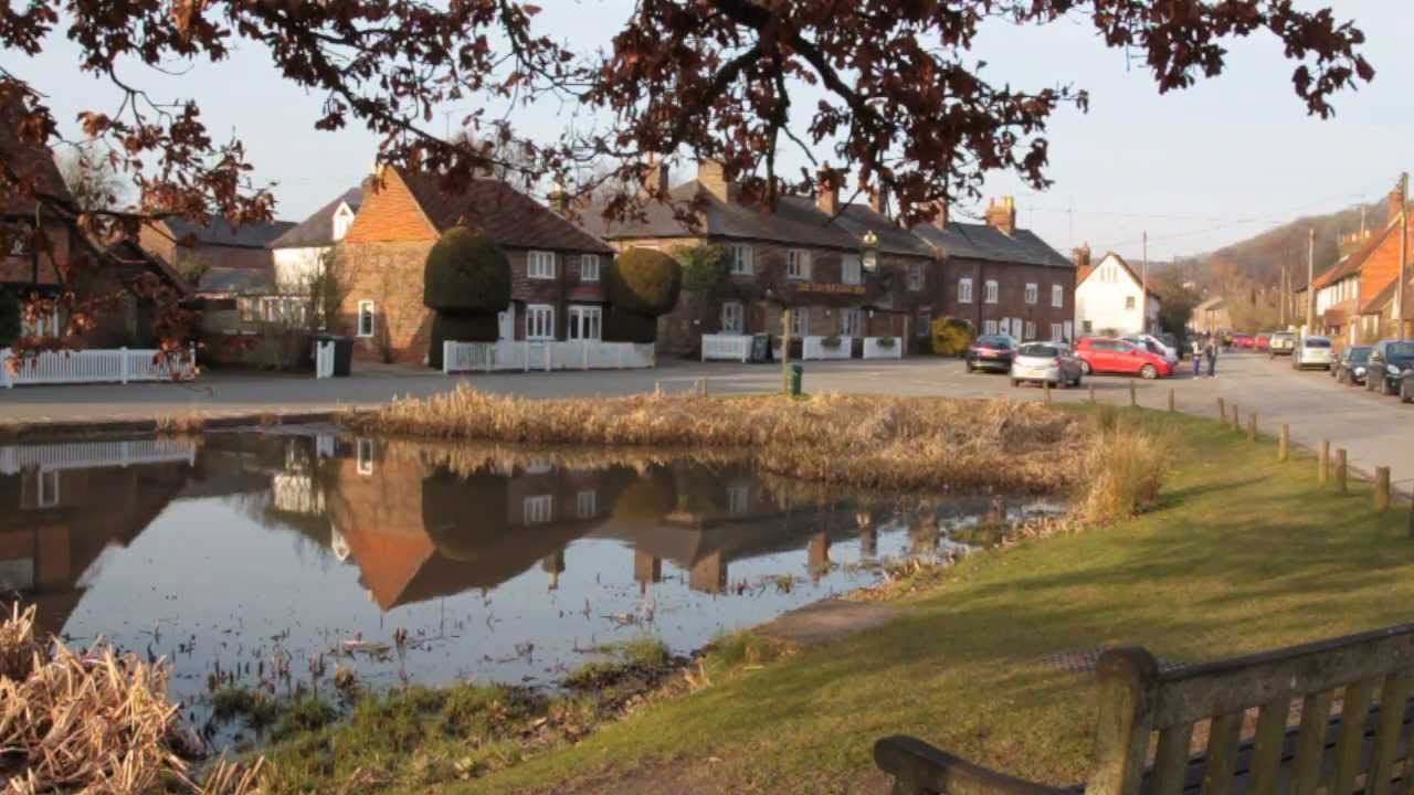 GREYHOUND ALDBURY