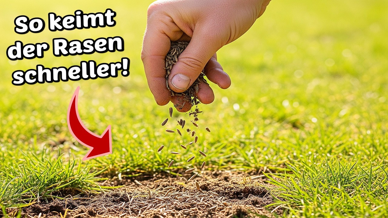 Diesen Trick beim Rasen nachs&auml;en kennt fast keiner! (Warum zeigt das sonst keiner?)