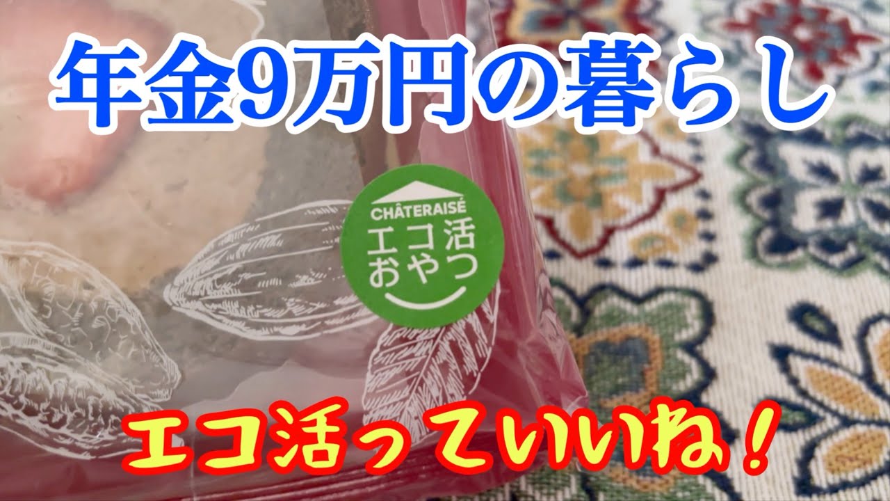 【ポイ活とエコ活と節約】年金9万円の暮らし／寄せ鍋