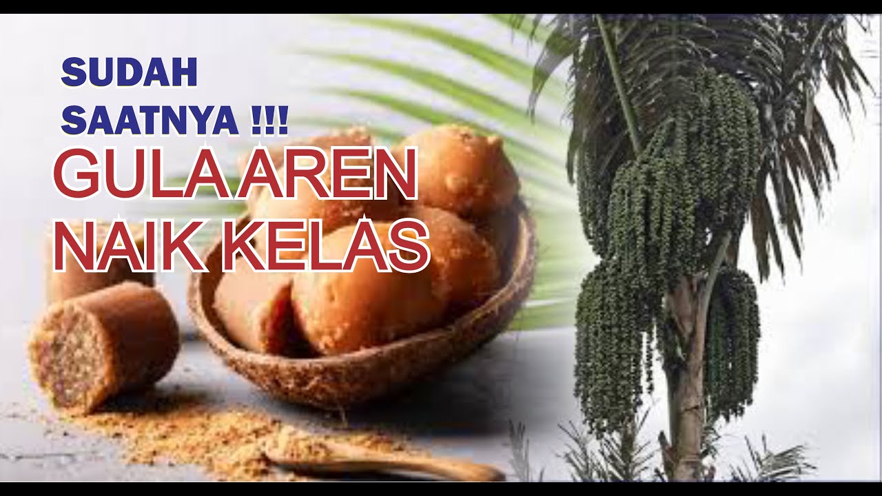 Podcas | Penerapan SNI Gula Aren Jamin Kulaitas dan Kepastian Harga