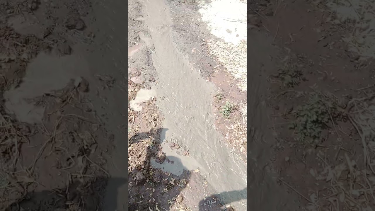 ९ फेब्रुवारी, २०२६