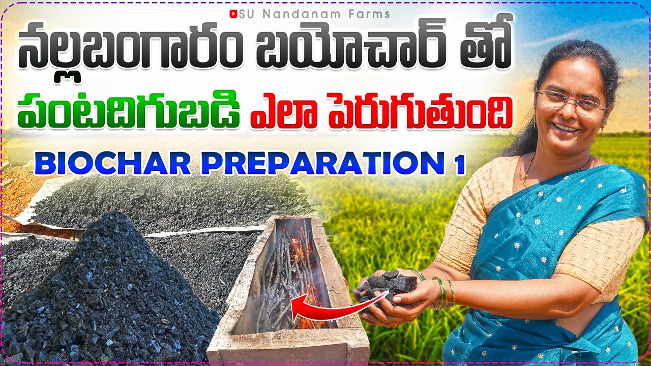 🔴Biochar Preparation in Telugu | బయోచార్ ఎలా తయారు చేయాలి | Farmer Sunanda #biochar #organicfarming