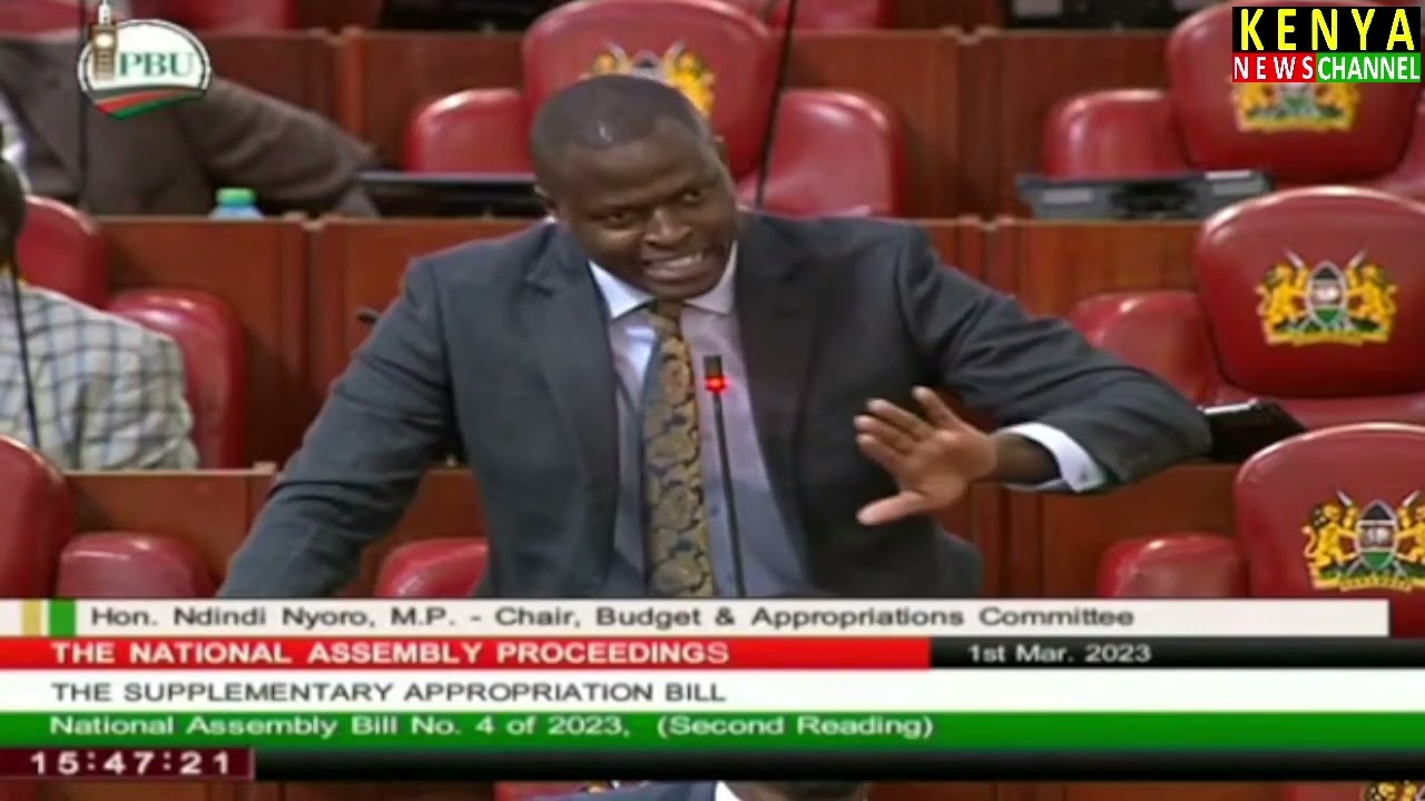 KPLC Largest Individual Shareholder Ndindi Nyoro answers about Kenya Power in Parliament