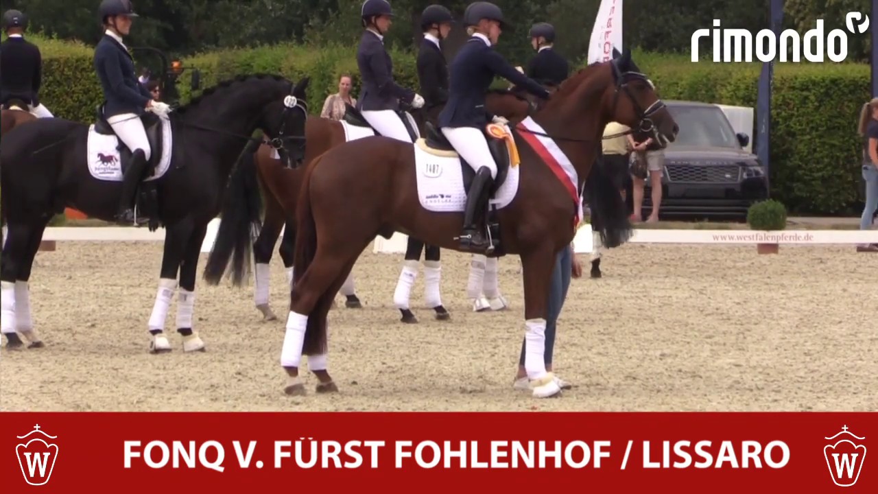 Westfalen Champions 2019  Reitpferde Fonq