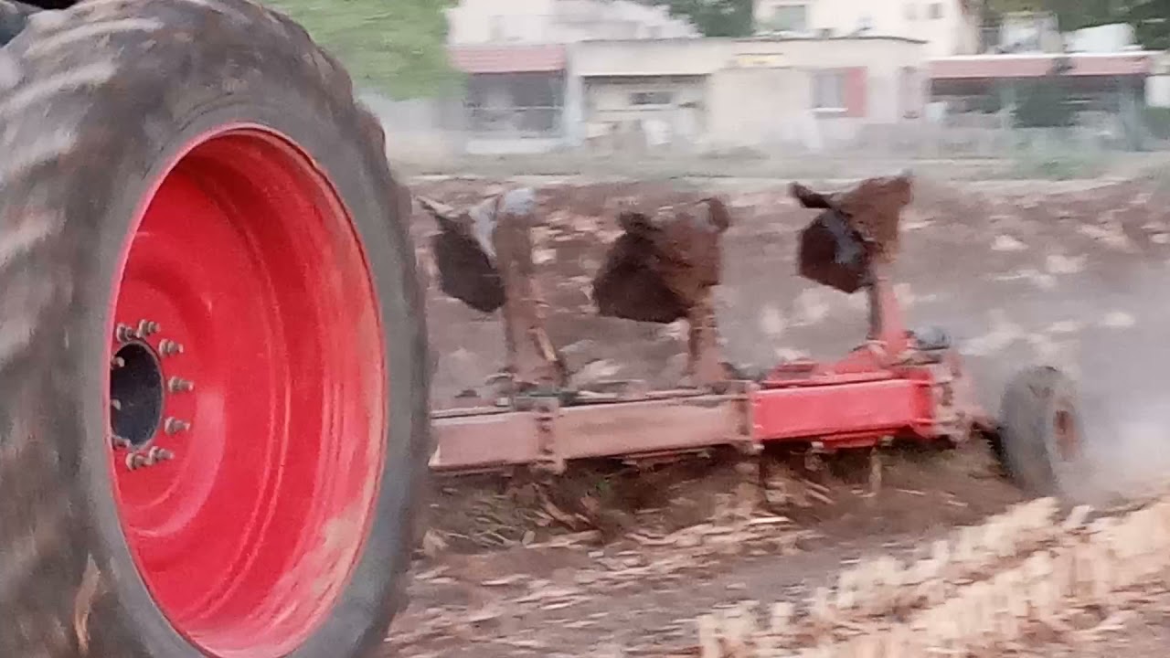 חריש של שדה התירס