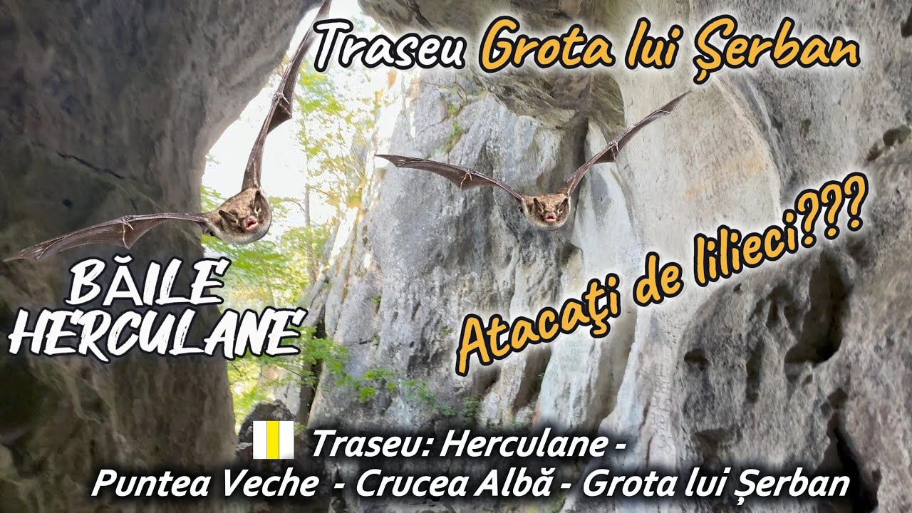 Grota lui Șerban, treseu Crucea Albă, Băile Herculane, Parcul National Domogled - Valea Cernei, 2025