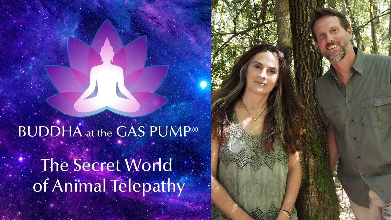 The Secret World of Animal Telepathy - Brad Laughlin & Anna Breytenbach - BatGap Interview