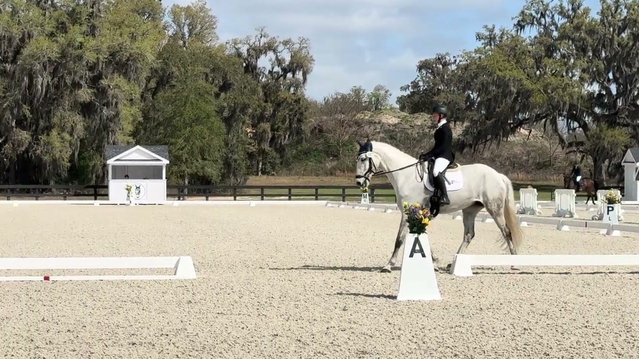 Leisel Winning Dressage test @ WEC 66% First Level Test 1