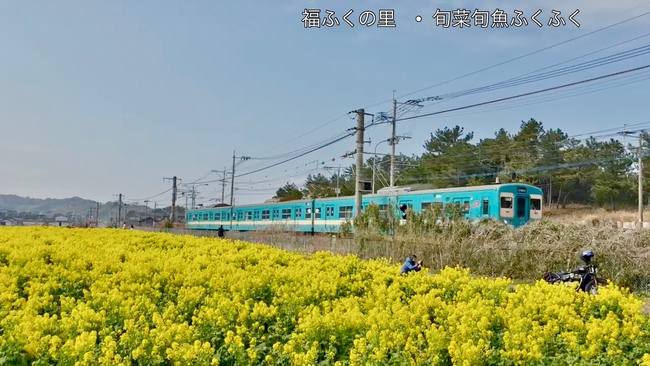 【福ふくの里•旬菜旬魚ふくふく】iPhone16e/α6700