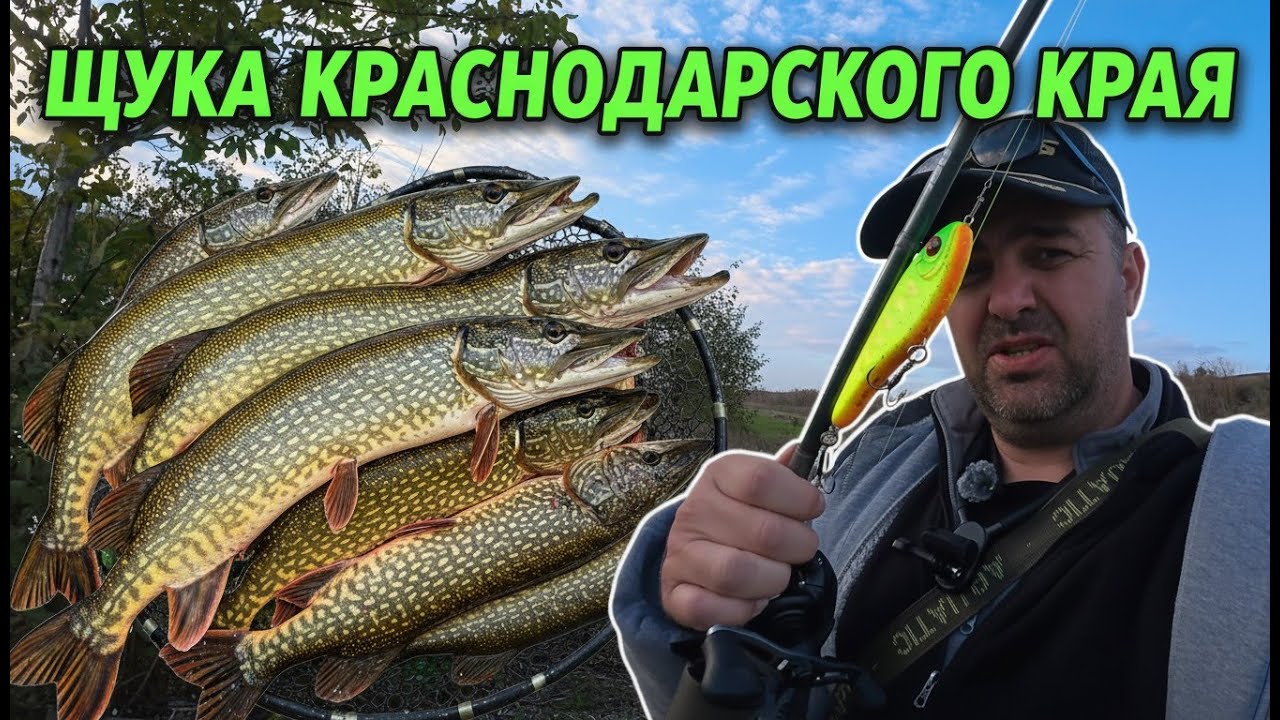 Щука в Краснодарском крае: джерки лучше воблеров? Реальный опыт и улов