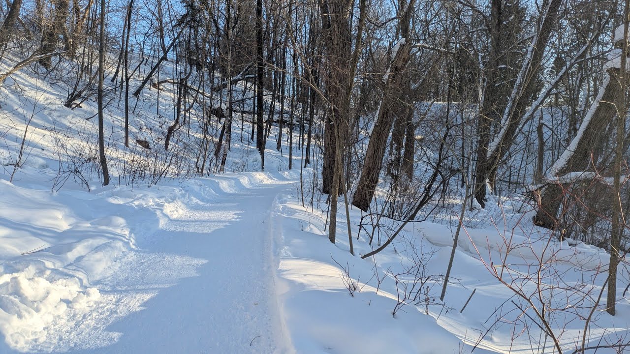 Caminata por las calles de canada_ febrero 2026_ARTISRA est en direct!