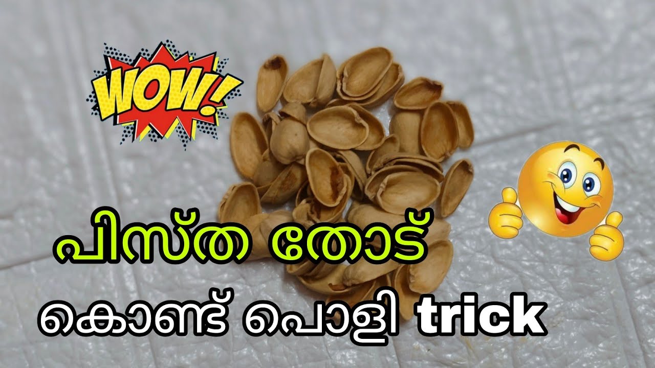 പിസ്ത തോട് എടുത്തു വച്ചോളൂ | waste material craft I