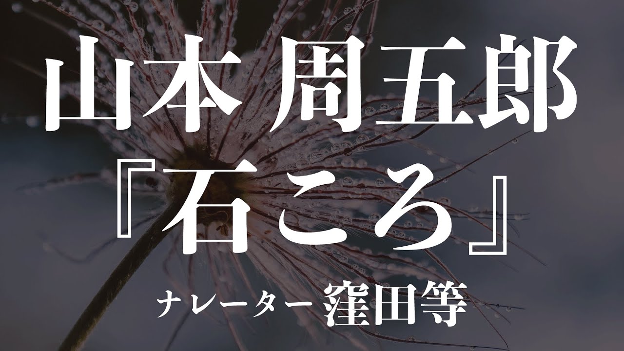 『石ころ』作：山本周五郎　朗読：窪田等　作業用BGMや睡眠導入 おやすみ前 教養にも 本好き 青空文庫
