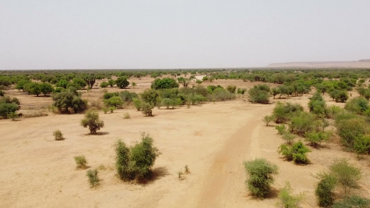 TACHOTT BOTOKHOLLO