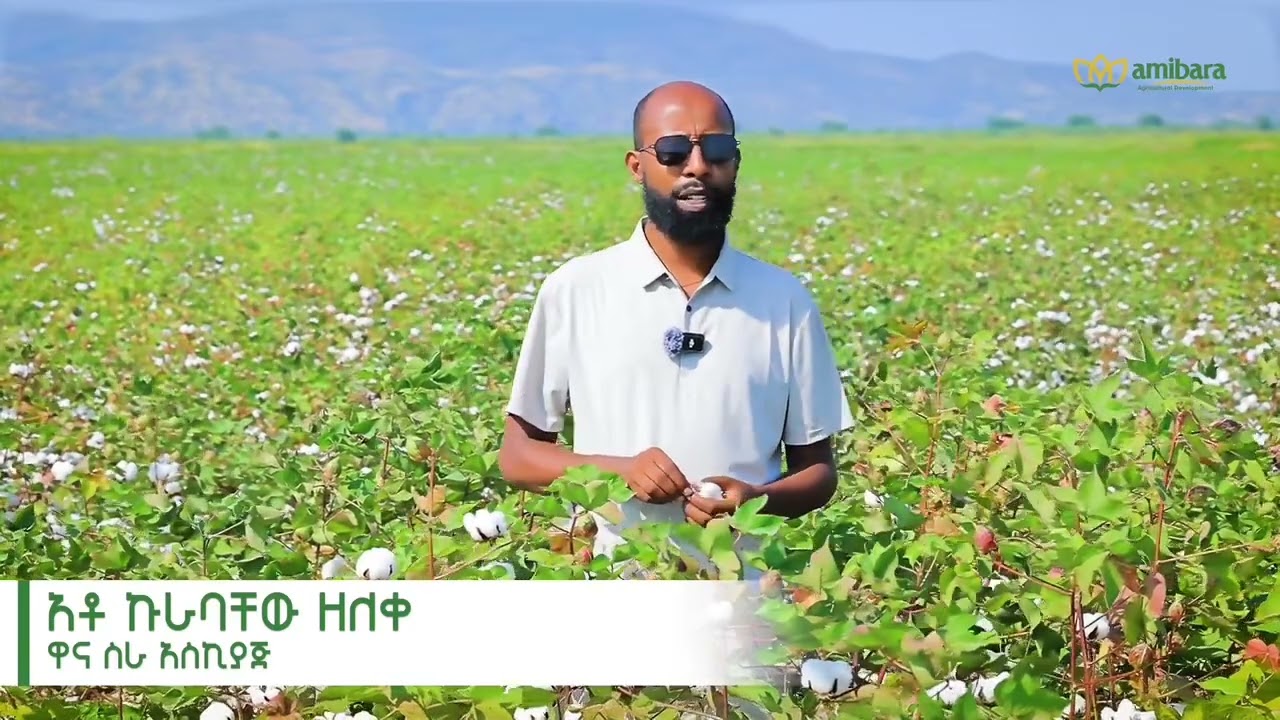 ይህ ታሪክ የታላቅነት ጉዞአችን ፤ ዛሬ የምንፈጥረው ተፅዕኖና የወደፊቱ ራዕያችን ነው!