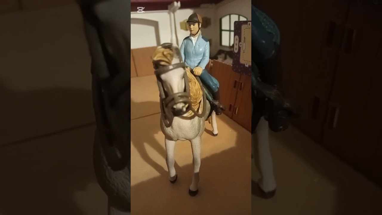 Stallvlog mit Folgen 🤯😱