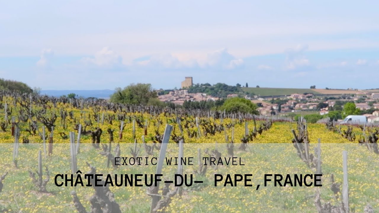 French Red Wine: Exotic Wine Travel in Châteauneuf-du-Pape